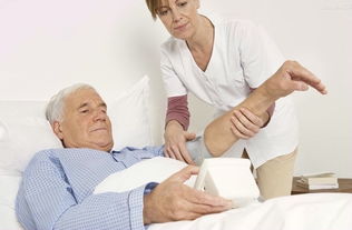 保潔用品與設(shè)備市場概覽 品牌、價格與環(huán)保趨勢