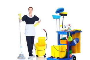 兩萬元?jiǎng)?chuàng)業(yè)路 從零打造互聯(lián)網(wǎng)家政保潔服務(wù)